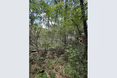 28624 Shawnee Ct, Point Blank, TX 77364 - Photo 8