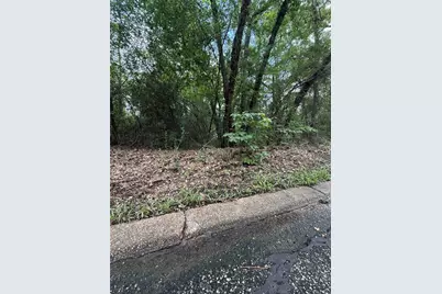 28624 Shawnee Ct, Point Blank, TX 77364 - Photo 6