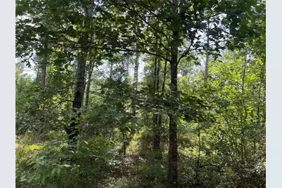Lot 25 Rolling Pines Drive, Livingston, TX 77351 - Photo 6