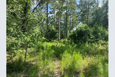 Lot 25 Rolling Pines Drive, Livingston, TX 77351 - Photo 2
