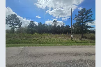 287 County Road 688, Dayton, TX 77535 - Photo 2