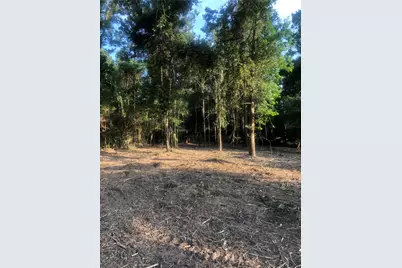 722 Carriage View Lane, Huffman, TX 77336 - Photo 1