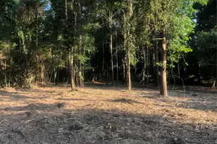 722 Carriage View Ln, Huffman, TX 77336 - Photo 1