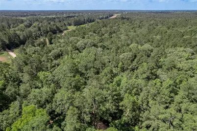 594 County Road 3540, Lovelady, TX 75851 - Photo 50