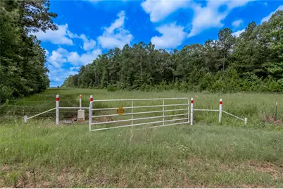 594 County Road 3540, Lovelady, TX 75851 - Photo 38