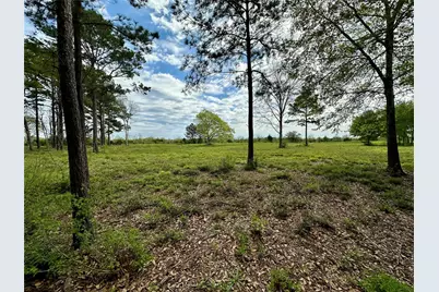 4304 Fcr 78, Rosharon, TX 77583 - Photo 40