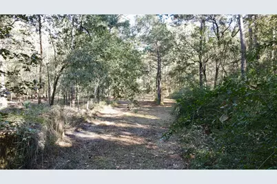 585 County Road 3796, Cleveland, TX 77328 - Photo 20