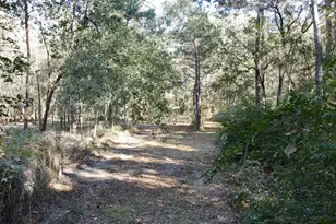 585 County Rd 3796, Cleveland, TX 77328 - Photo 20