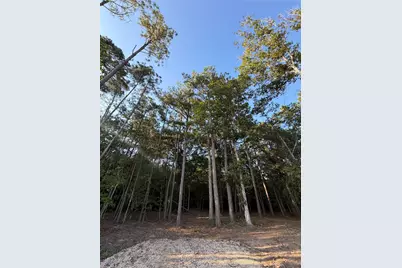 18361 Bunsen Drive, Conroe, TX 77301 - Photo 10