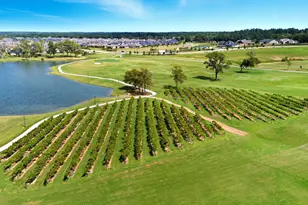 9786 Rockwell Dr, Willis, TX 77318 - Photo 44