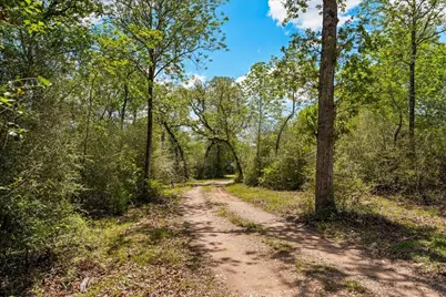 2516 Klimek Road, Fayetteville, TX 78940 - Photo 6