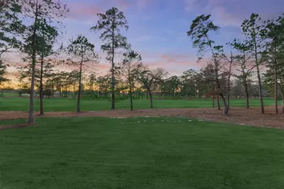 4463 Lily Bean Road, Montgomery, TX 77316 - Photo 10