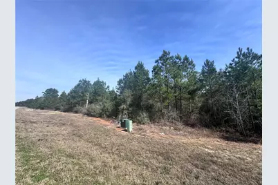 15576 Forest Grove Drive, Willis, TX 77378 - Photo 6