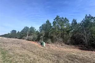 15576 Frst Grv Dr, Willis, TX 77378 - Photo 6