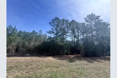 15576 Forest Grove Drive, Willis, TX 77378 - Photo 4