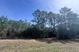 15576 Frst Grv Dr, Willis, TX 77378 - Photo 4