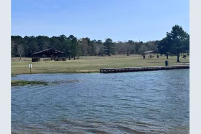 15576 Forest Grove Drive, Willis, TX 77378 - Photo 16