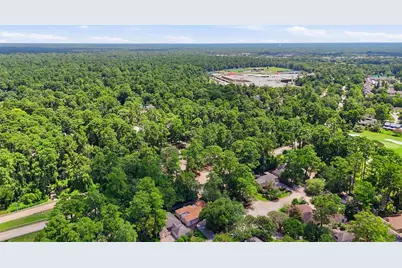 3111 Breezy Pines Court, Houston, TX 77339 - Photo 34