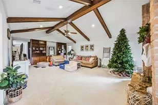 4113 County Rd 424, Alvin, TX 77511 - Photo 6