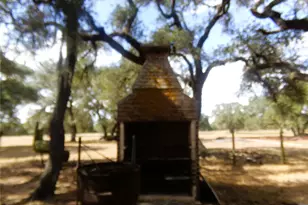 1567 Cr 123F, Hallettsville, TX 77964 - Photo 12