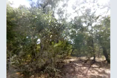 1567 Cr 123F, Hallettsville, TX 77964 - Photo 16