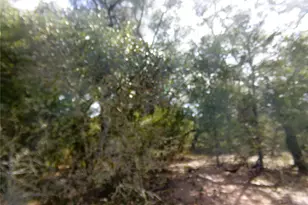 1567 Cr 123F, Hallettsville, TX 77964 - Photo 16