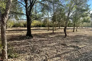 000 Fredrick St, Port Arthur, TX 77640 - Photo 1