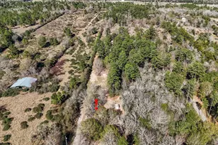 21150 Arnsworth Rd, Montgomery, TX 77356 - Photo 30