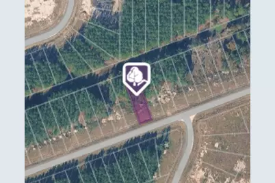 1369 Road 5890, Cleveland, TX 77327 - Photo 1