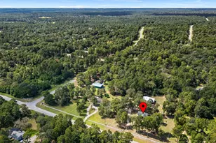 25003 Joseph Rd, Hockley, TX 77447 - Photo 46