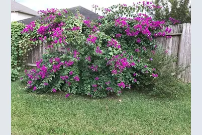 12259 Noco Drive, Tomball, TX 77375 - Photo 28
