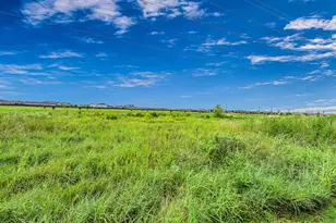 3002 Crown Gate Dr, Houston, TX 77047 - Photo 34