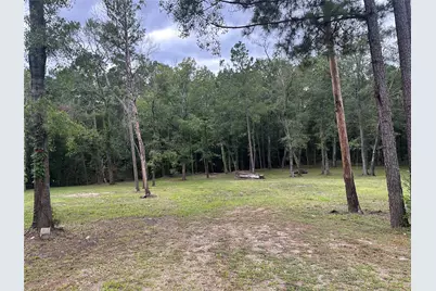 97 W Oak Tree Drive, Point Blank, TX 77364 - Photo 4