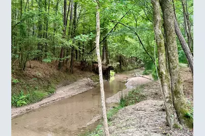 97 W Oak Tree Drive, Point Blank, TX 77364 - Photo 6