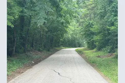 97 W Oak Tree Drive, Point Blank, TX 77364 - Photo 12