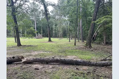 97 W Oak Tree Drive, Point Blank, TX 77364 - Photo 2