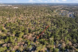 126 E Wilde Yaupon Circle, The Woodlands, TX 77381 - Photo 6