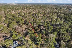 126 E Wilde Yaupon Circle, The Woodlands, TX 77381 - Photo 4