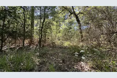 9884 Rocky Ridge Lane, Madisonville, TX 77864 - Photo 20