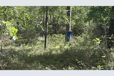 9884 Rocky Ridge Lane, Madisonville, TX 77864 - Photo 30