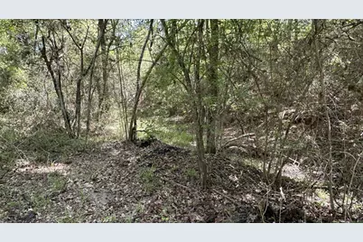 9884 Rocky Ridge Lane, Madisonville, TX 77864 - Photo 14