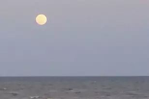 3008 Shady Ln, Crystal Beach, TX 77650 - Photo 34