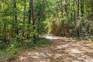 1215 Trinlady Pk Rd, Trinity, TX 75862 - Photo 18