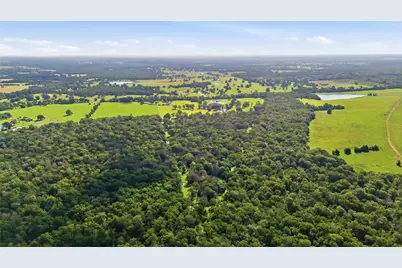 11082 US Highway 75 S, Leona, TX 75850 - Photo 44
