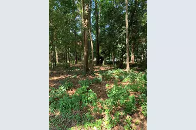 901 Longmire, Conroe, TX 77304 - Photo 2