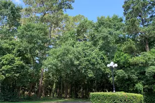 901 Longmire, Conroe, TX 77304 - Photo 4