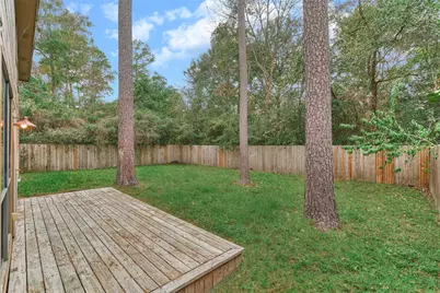 3 Field Flower Court, The Woodlands, TX 77380 - Photo 32