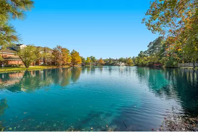 158 N Magnolia Pond Place, The Woodlands, TX 77381 - Photo 24