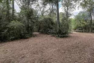 24430 Oak Hollow Blvd, Hockley, TX 77447 - Photo 38