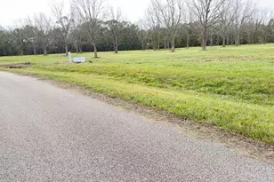 16834 Wrangler Rd, Rosharon, TX 77583 - Photo 1